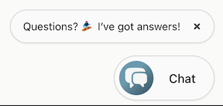 Screenshot of AI chat widget with popup  Alt text